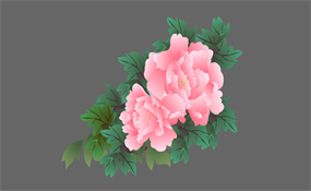 红牡丹开花flash花朵动画